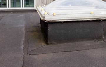 disadvantages of Roxby flat roofs