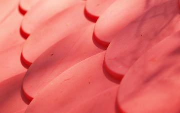 Roxby plastic roof costs